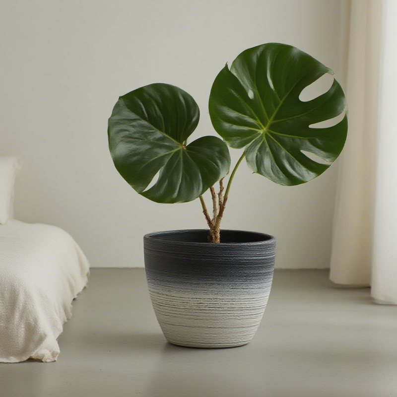 وعاء زهور مستدير بالسفع الرملي مع رسم خطي بلونين