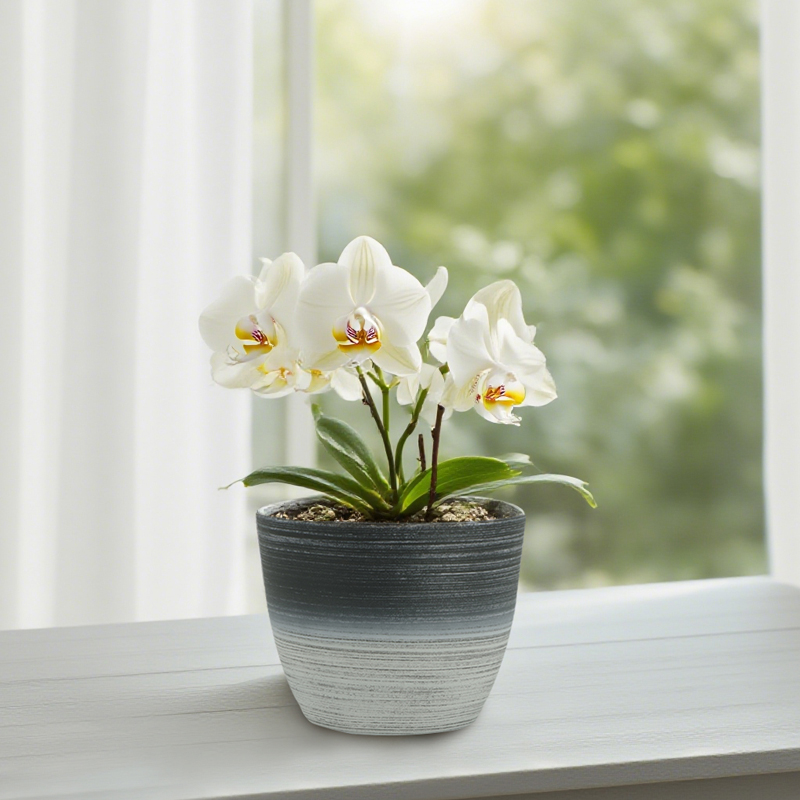 وعاء زهور مستدير بالسفع الرملي مع رسم خطي بلونين